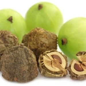 Dried Amla Fruit