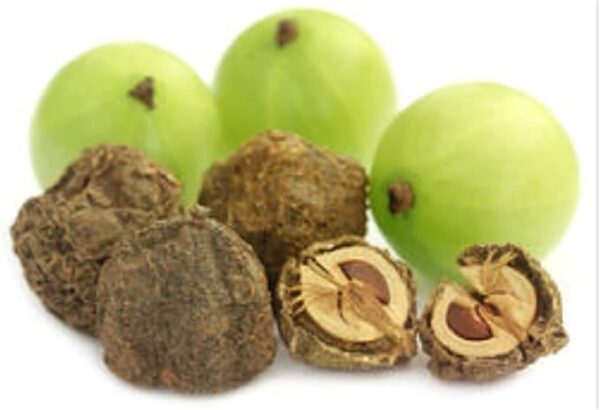 Dried Amla Fruit